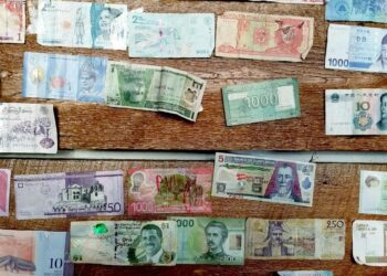 Why People Collect and Profit from Paper Money