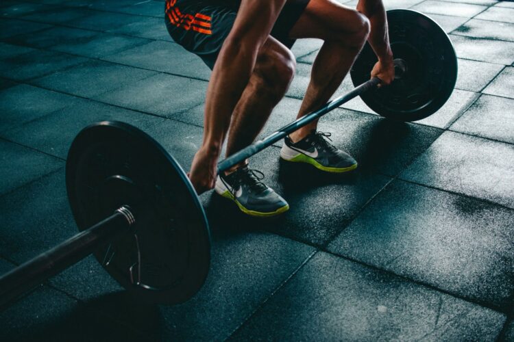 Exploring The Science: How Fadogia Agrestis Supplements Impact Testosterone Levels