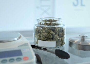 The Benefits of Cannabis Infusion Products for Medical Patients