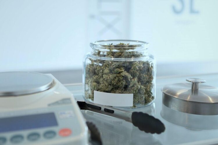 The Benefits of Cannabis Infusion Products for Medical Patients
