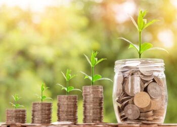 How is Zillmoney Helpful for Growing Business on a Small Level?