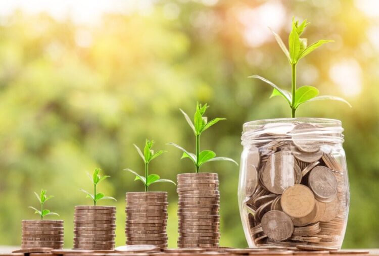 How is Zillmoney Helpful for Growing Business on a Small Level?