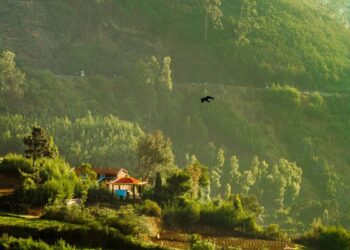 Retirement Haven: Discover Your Ideal Community