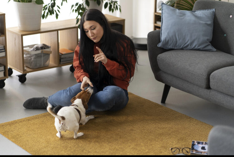CBD for Dogs: What to Know Before Giving Your Dog CBD