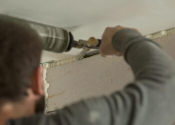 Pest Control Hacks Every Homeowner Should Know