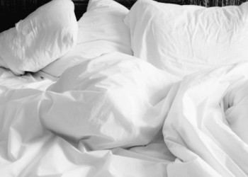 How to Prevent an Infestation of Bed Bug Like Insects in Your Home