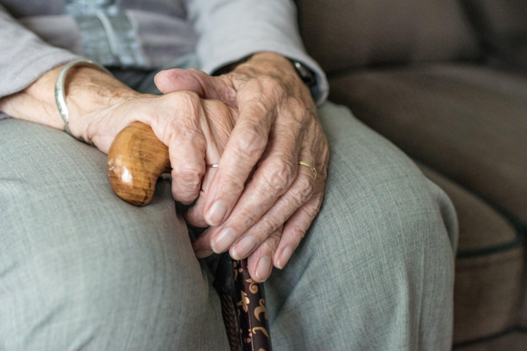 The Ultimate Guide to Senior Assistance: Everything You Need to Know