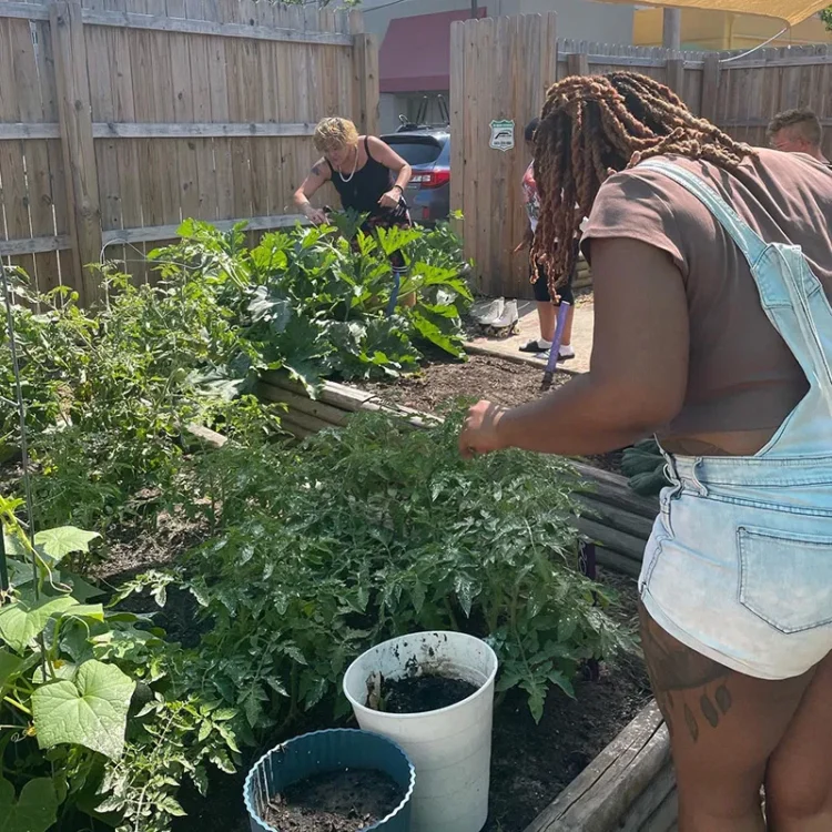 Lucie’s Place: Transforming Lives Through Housing and Advocacy in Arkansas