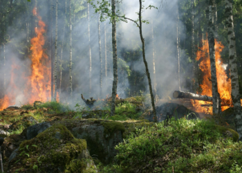 Seasonal Risk Management: Preparing Australian Workplaces for Extreme Weather