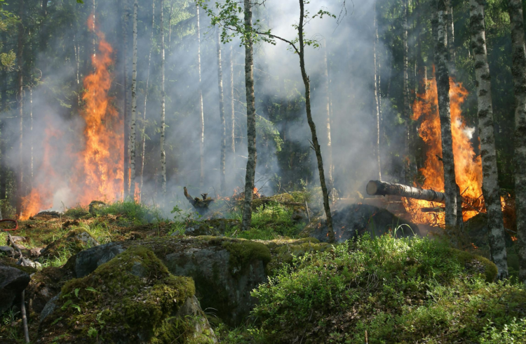 Seasonal Risk Management: Preparing Australian Workplaces for Extreme Weather