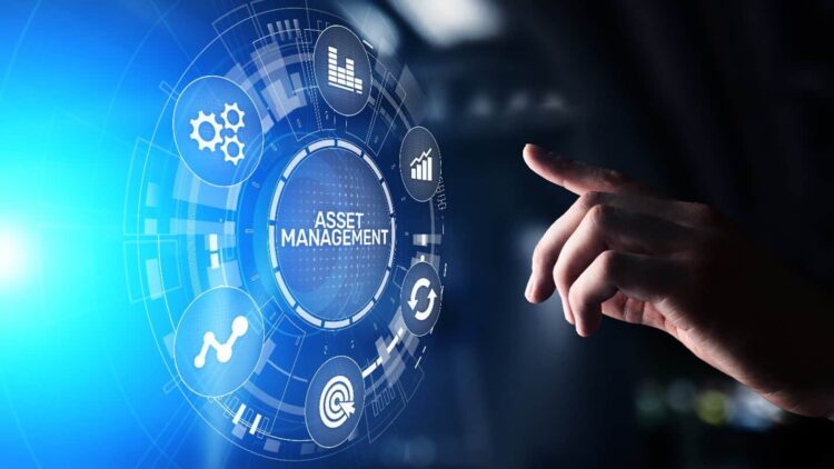 How to Properly Systematize IT Assets