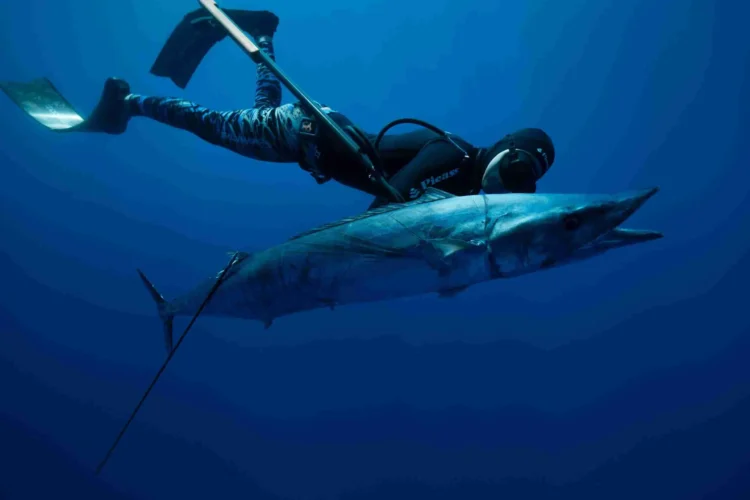 Why Key West is the #1 Destination for Spearfishing Charters in the Florida Keys