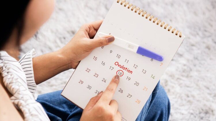 Understanding Your Fertility Window: Timing Matters
