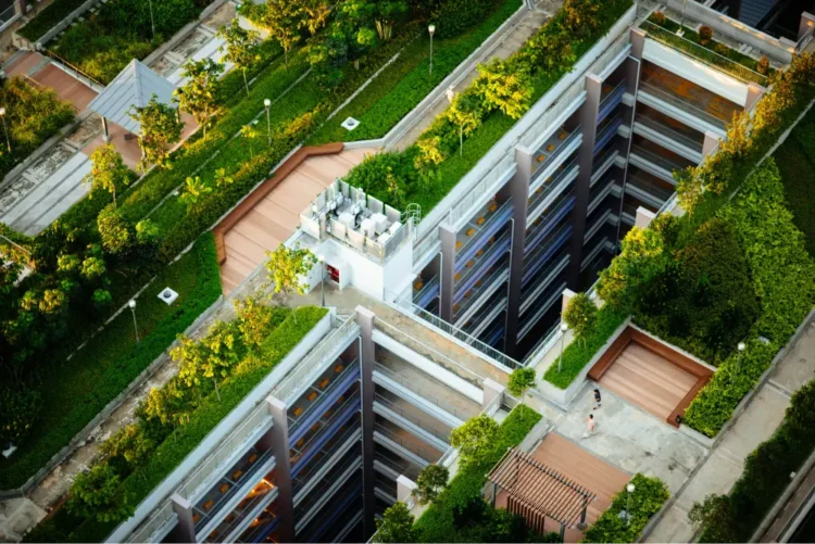 Green Roofs for a Greener Planet: Embracing Biophilic Roofing Trends