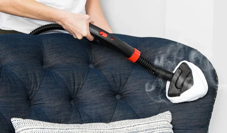 The Easiest Way to Kill Bed Bugs in Your Room: Isolation, Steam, and Protection