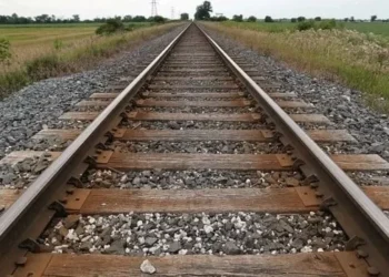 The Ultimate Guide to Choosing Railway Sleepers